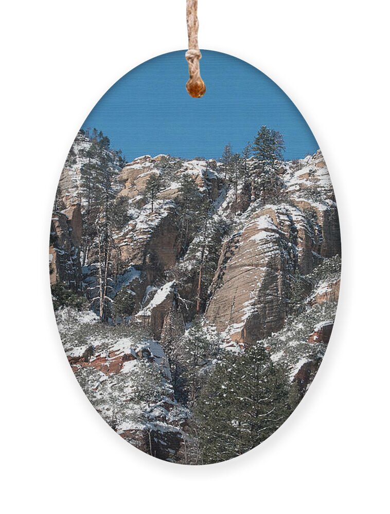 Snow Ornament featuring the photograph Sprinkled with Snow by Tam Ryan