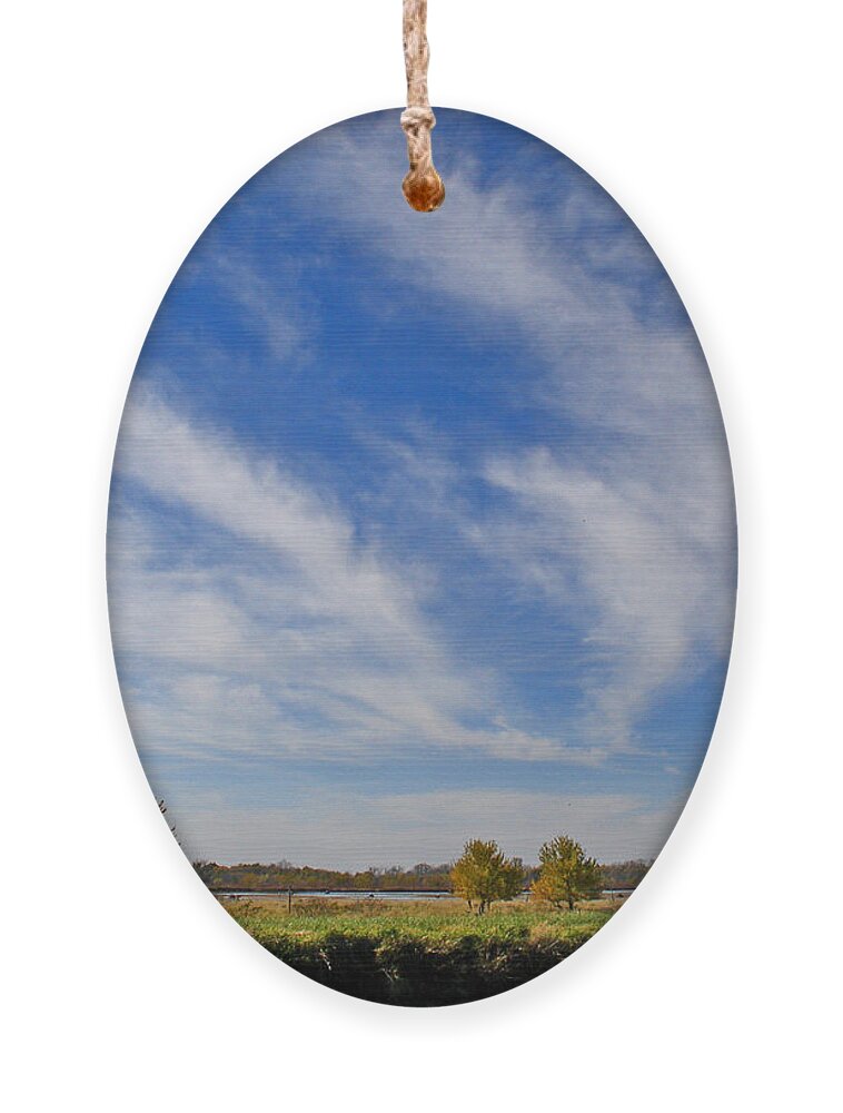 Landscape Ornament featuring the photograph Squaw Creek Landscape by Steve Karol