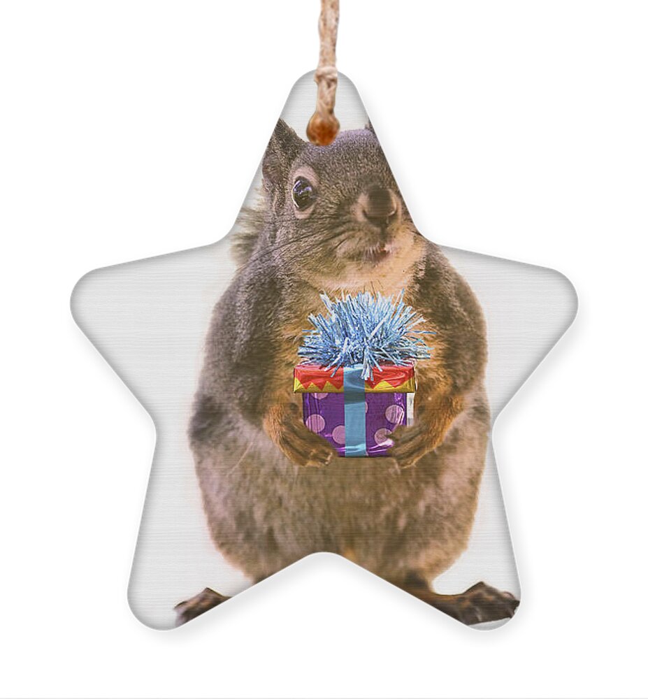 Birthday Ornament featuring the photograph Squirrel with Gift by Peggy Collins