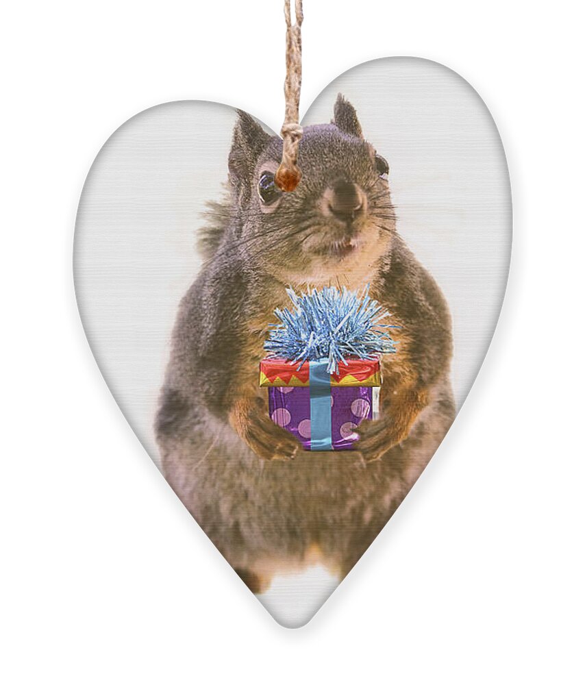 Birthday Ornament featuring the photograph Squirrel with Gift by Peggy Collins