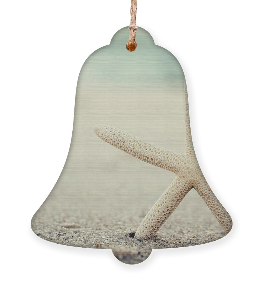 Starfish On Beach Vintage Seaside New Jersey Ornament featuring the photograph Starfish on Beach Vintage Seaside New Jersey by Terry DeLuco