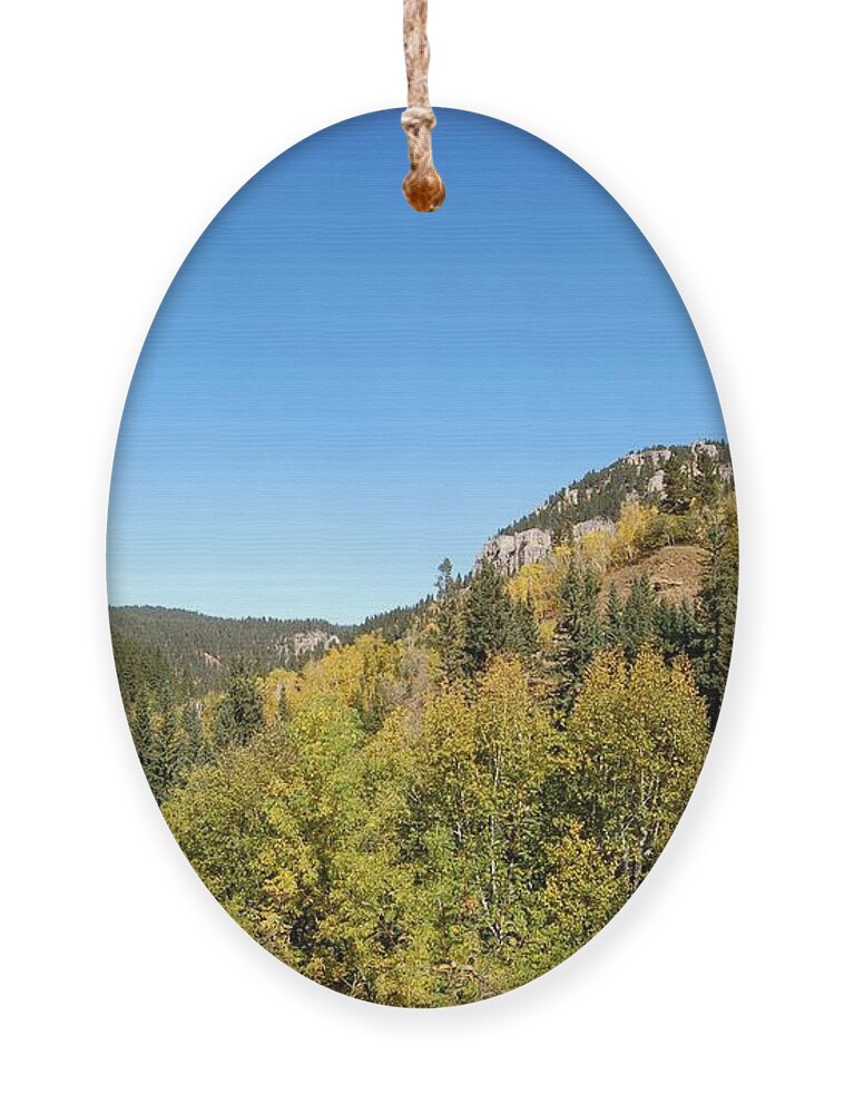 Foliage Ornament featuring the photograph Starting to Turn by Greni Graph