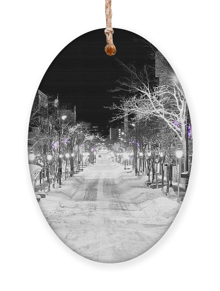 Capitol Ornament featuring the photograph State Street Madison by Steven Ralser