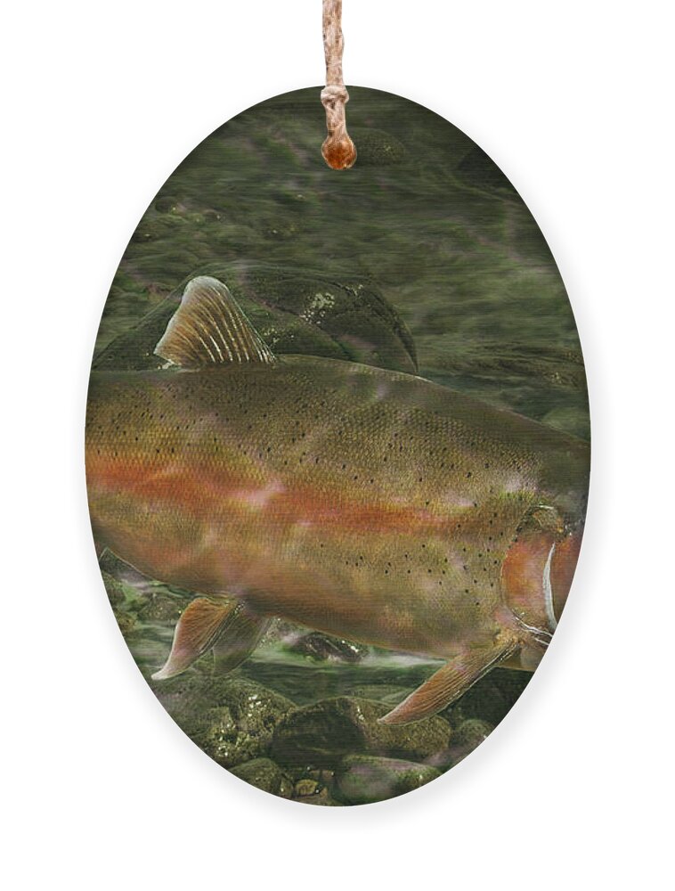 Trout Ornament featuring the photograph Steelhead Trout Spawning by Randall Nyhof