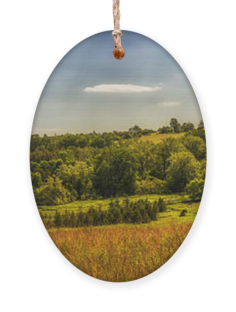 Landscape Ornament featuring the photograph Summer countryside by Elena Elisseeva