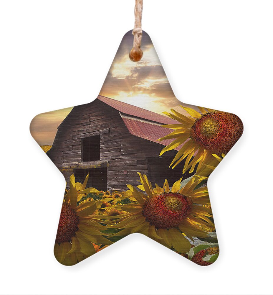 Barn Ornament featuring the photograph Sunflower Dance by Debra and Dave Vanderlaan