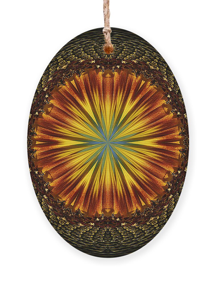Cindi Ressler Ornament featuring the photograph Sunflower Orb by Cindi Ressler