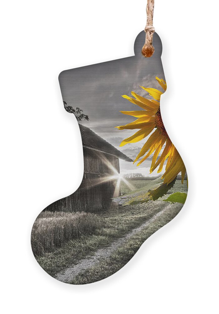 Appalachia Ornament featuring the photograph Sunflower Watch by Debra and Dave Vanderlaan