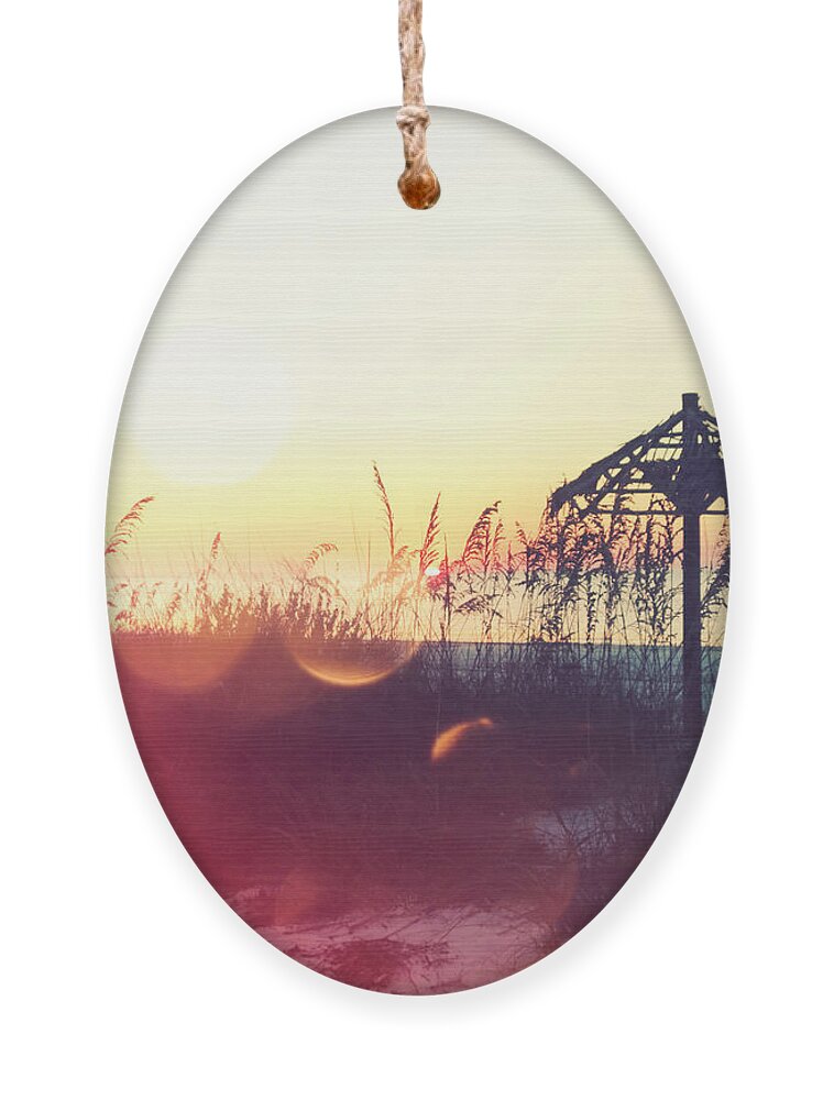 Florida Ornament featuring the photograph Sunset Palm III by Chris Andruskiewicz