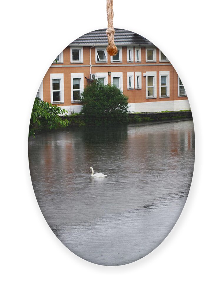 Dublin Ornament featuring the photograph Swan in Dublin by Sharon Popek