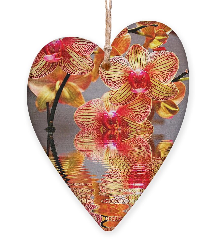 Orchid Ornament featuring the photograph Sweet Orchid Reflection by Judy Palkimas