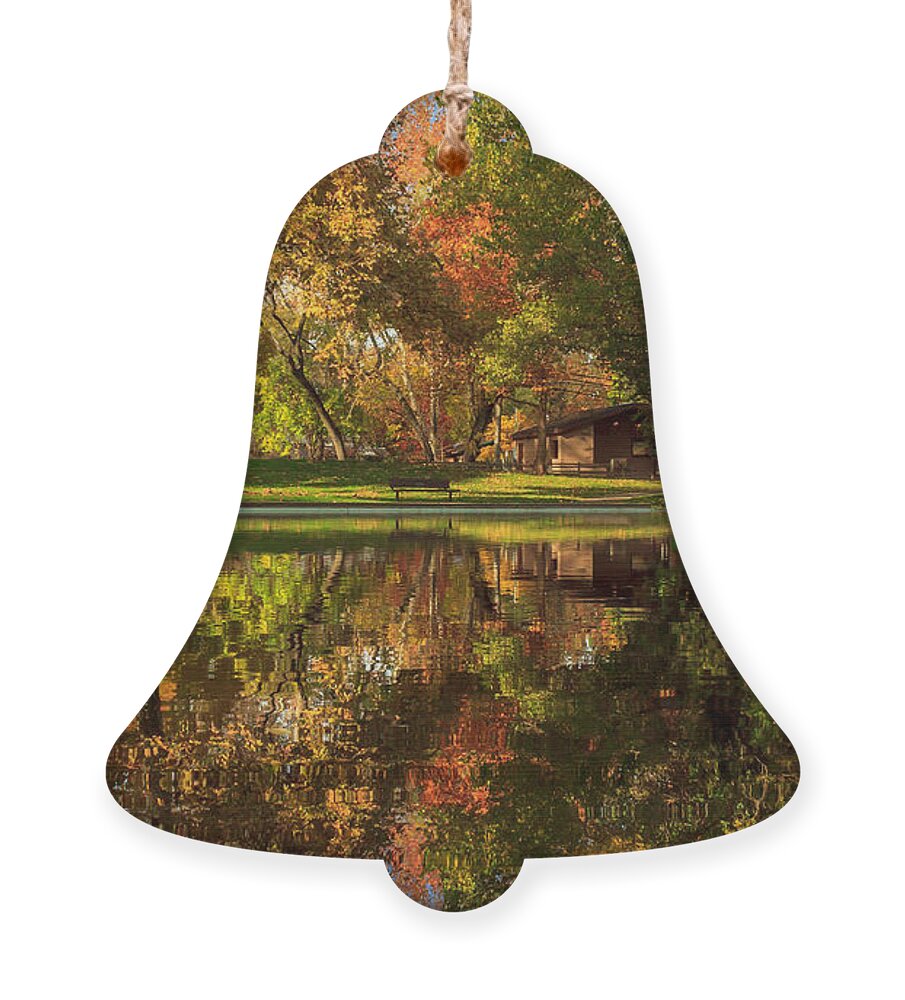 Sycamore Ornament featuring the photograph Sycamore Reflections by James Eddy