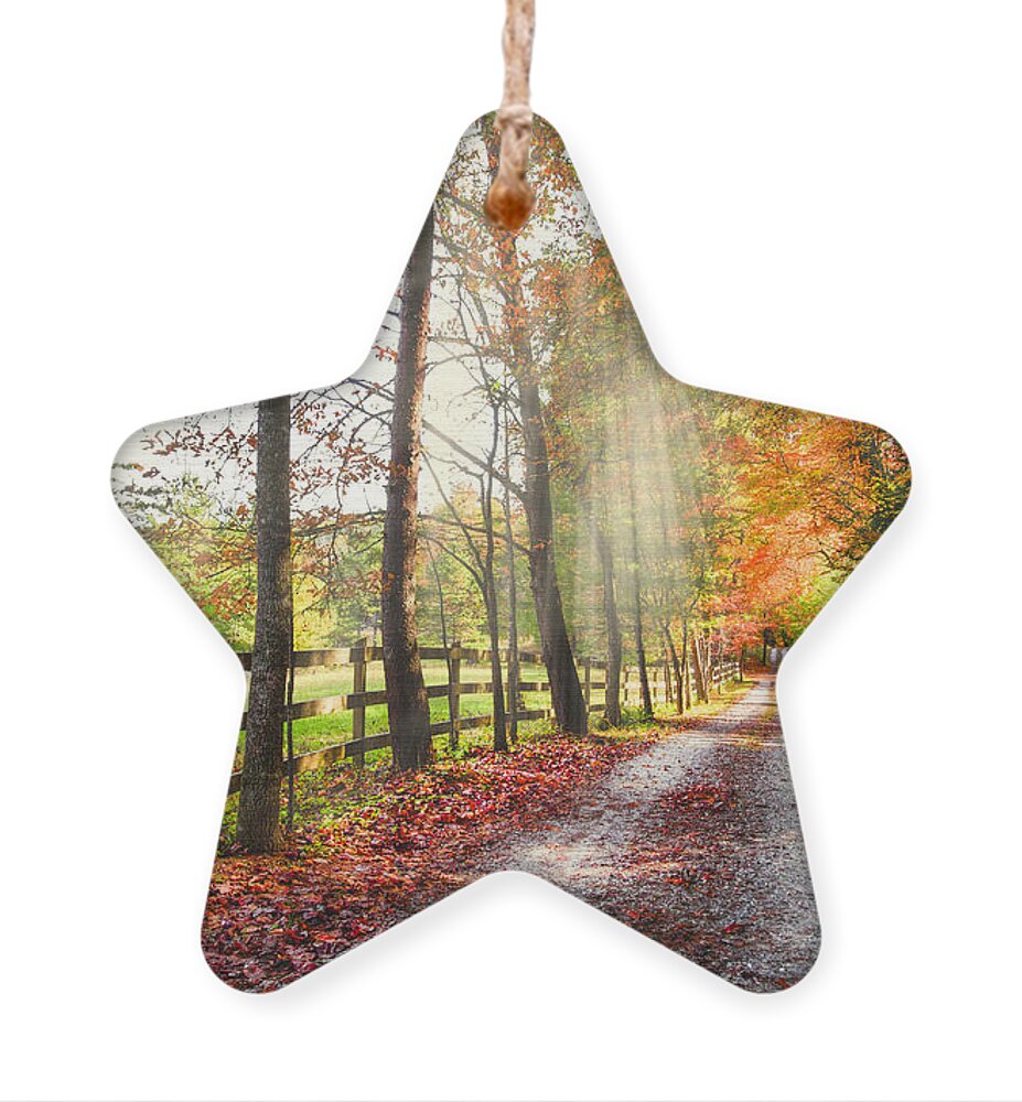 Appalachia Ornament featuring the photograph Take the Back Roads by Debra and Dave Vanderlaan