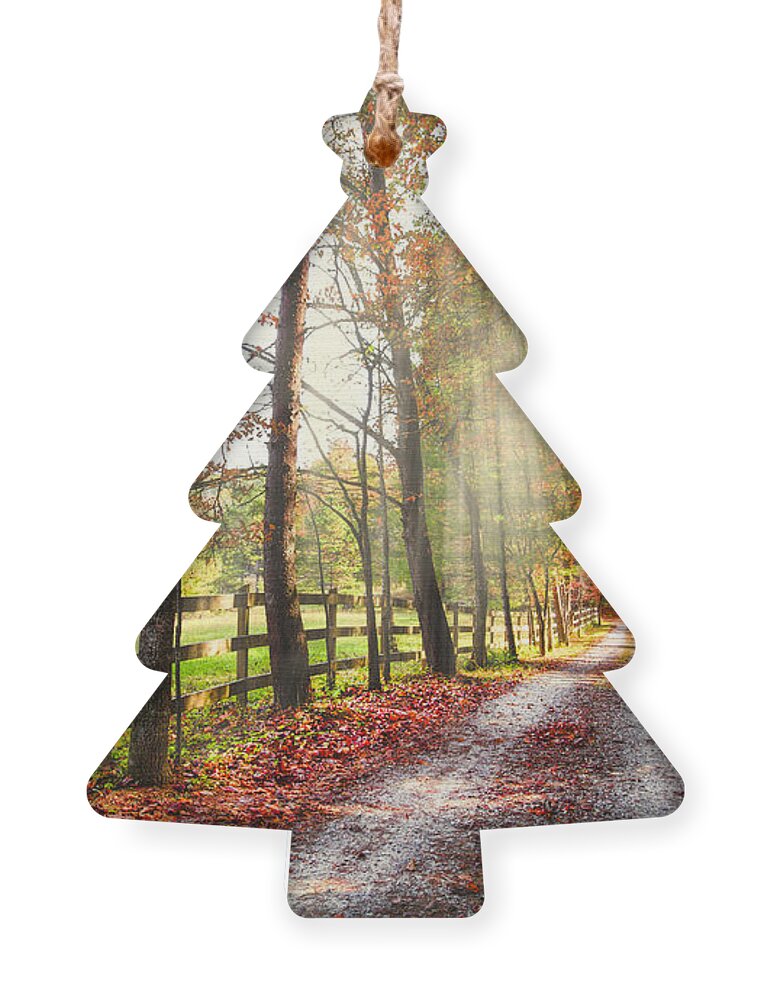 Appalachia Ornament featuring the photograph Take the Back Roads by Debra and Dave Vanderlaan