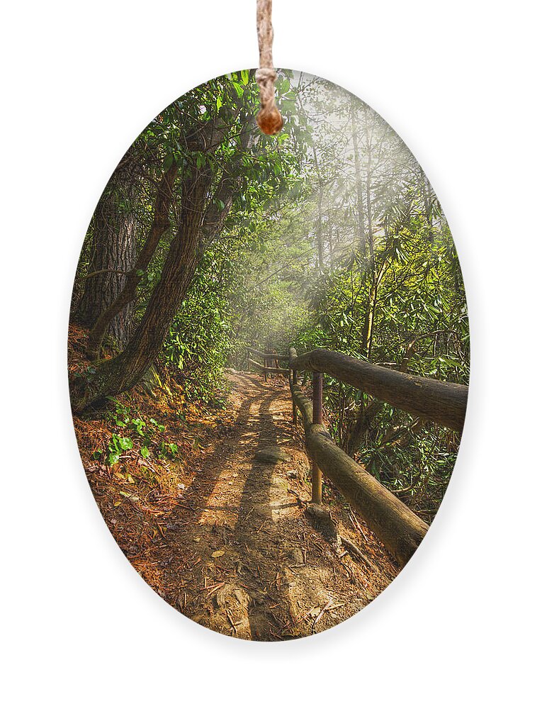 Appalachia Ornament featuring the photograph The Benton Trail by Debra and Dave Vanderlaan