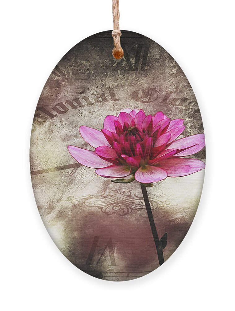 Pink Ornament featuring the photograph The Color Of Springtime - Vintage Art by Jordan Blackstone by Jordan Blackstone