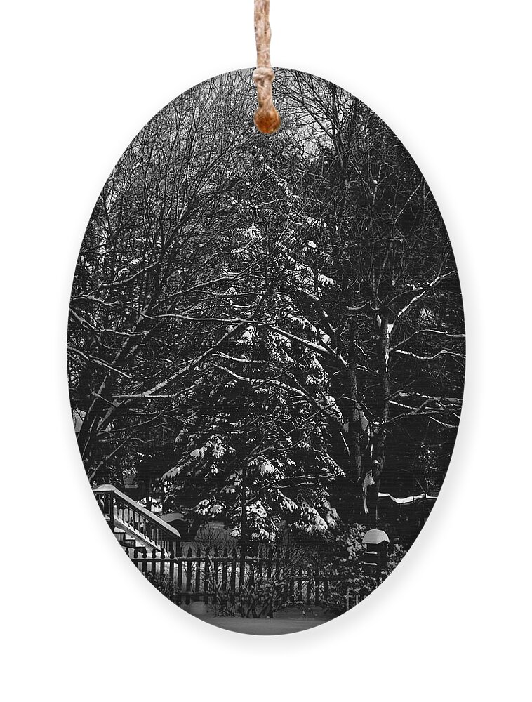 America Illinois Sunrise Winter Pine Blackandwhite Art Photography Fence Trees White Sky Branches Porch House Birdhouse Nature Landscape Sun Sunshine Light Blizzard Snowfall Cold Greetingcard Iphone Samsunggalexy Posters Christmas Frankjcasella Ornament featuring the photograph The Glorious Art of a Snowy WInter by Frank J Casella