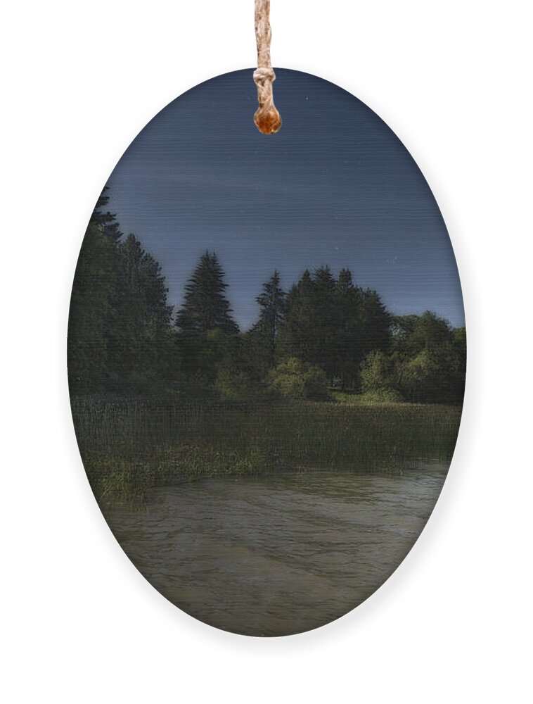 Ghost Ornament featuring the photograph The Haunting by Belinda Greb