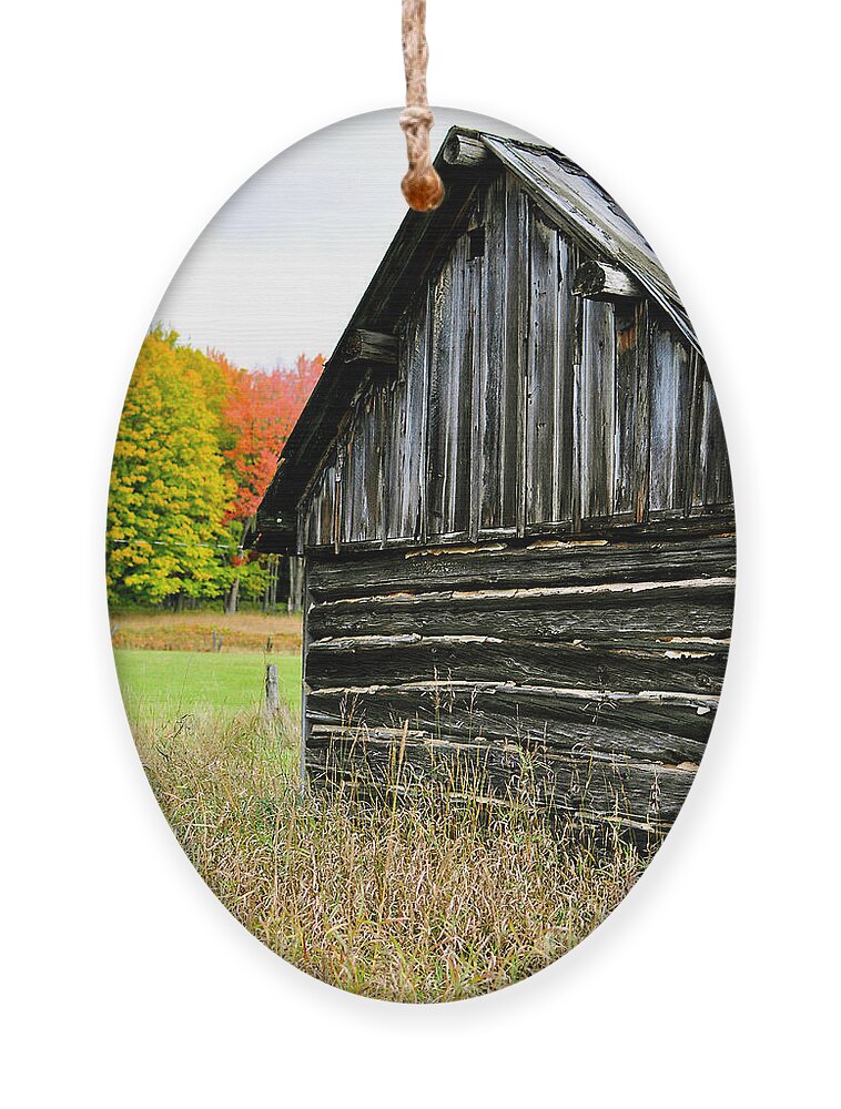 Weathed Wood Ornament featuring the photograph The Old Back Shed by Gwen Gibson