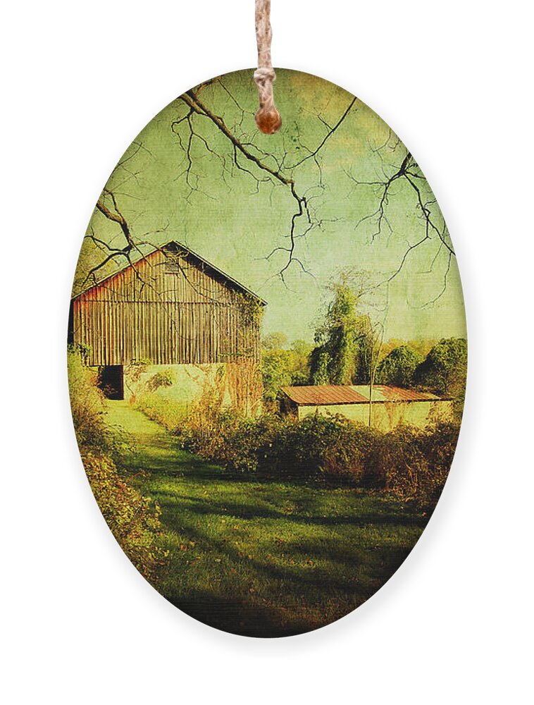 Barn Ornament featuring the photograph The Old Barn with Texture by Trina Ansel