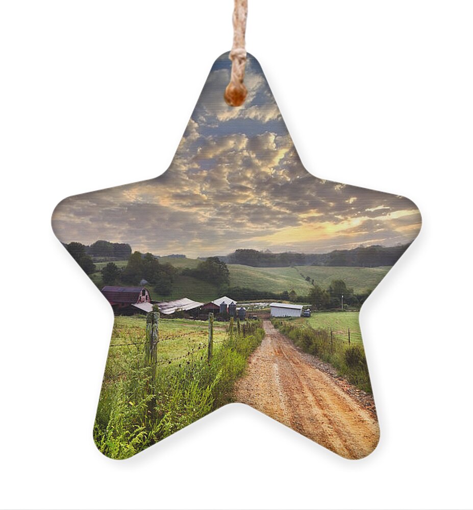 Appalachia Ornament featuring the photograph The Old Farm Lane by Debra and Dave Vanderlaan