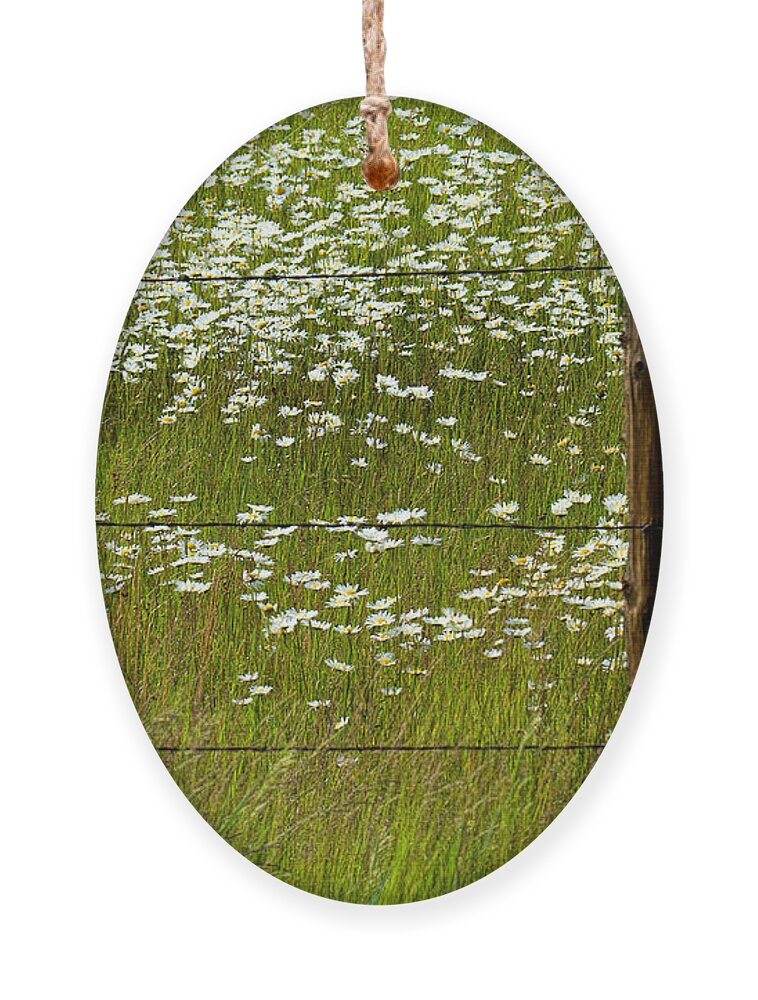 Flowers Ornament featuring the photograph The Other Side by Jim Garrison