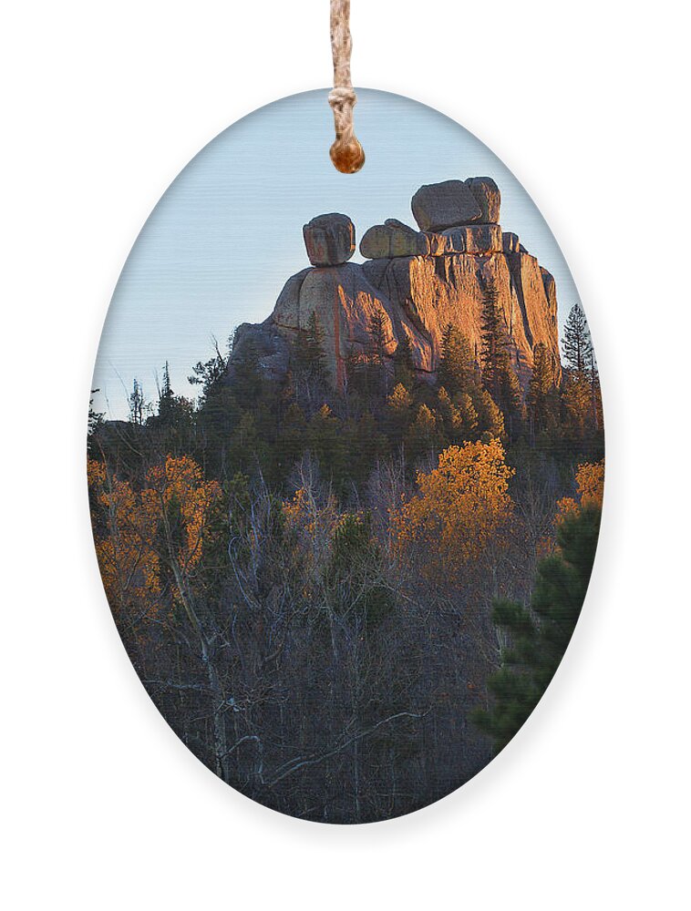 Autumn Colors Ornament featuring the photograph The Red Head by Jim Garrison