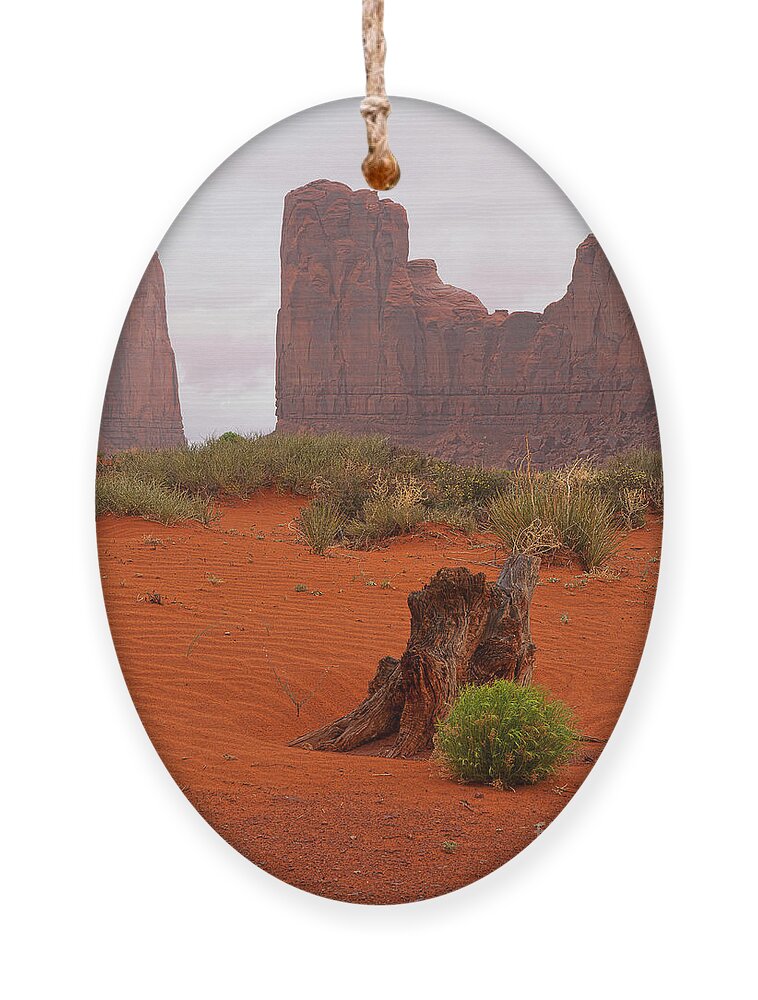 Red Soil Ornament featuring the photograph The Red Land by Jim Garrison