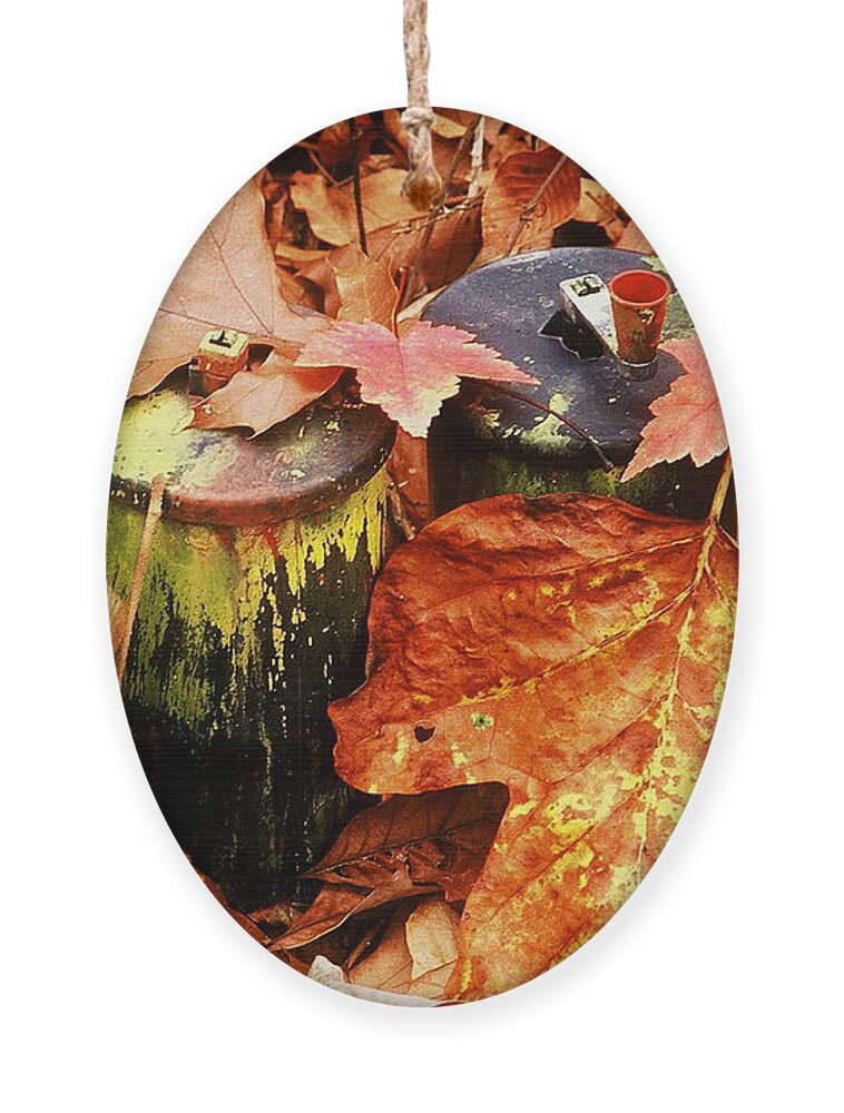 Fine Art Ornament featuring the photograph The Secret Of Fall by Rodney Lee Williams