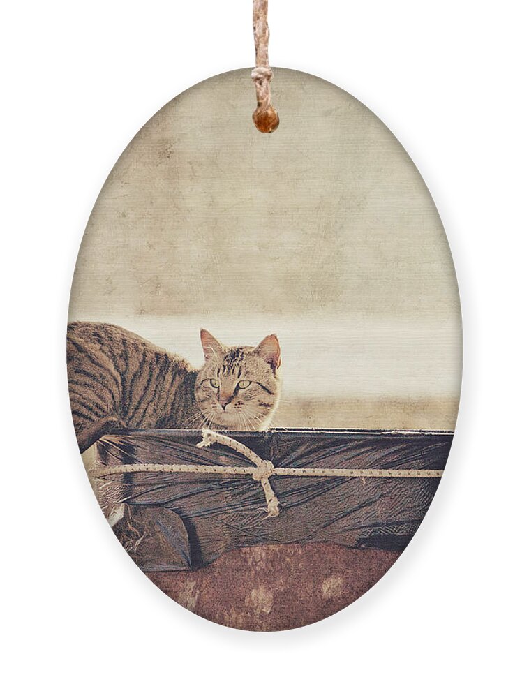 Cat Ornament featuring the photograph Dumpster Diver by Pam Holdsworth