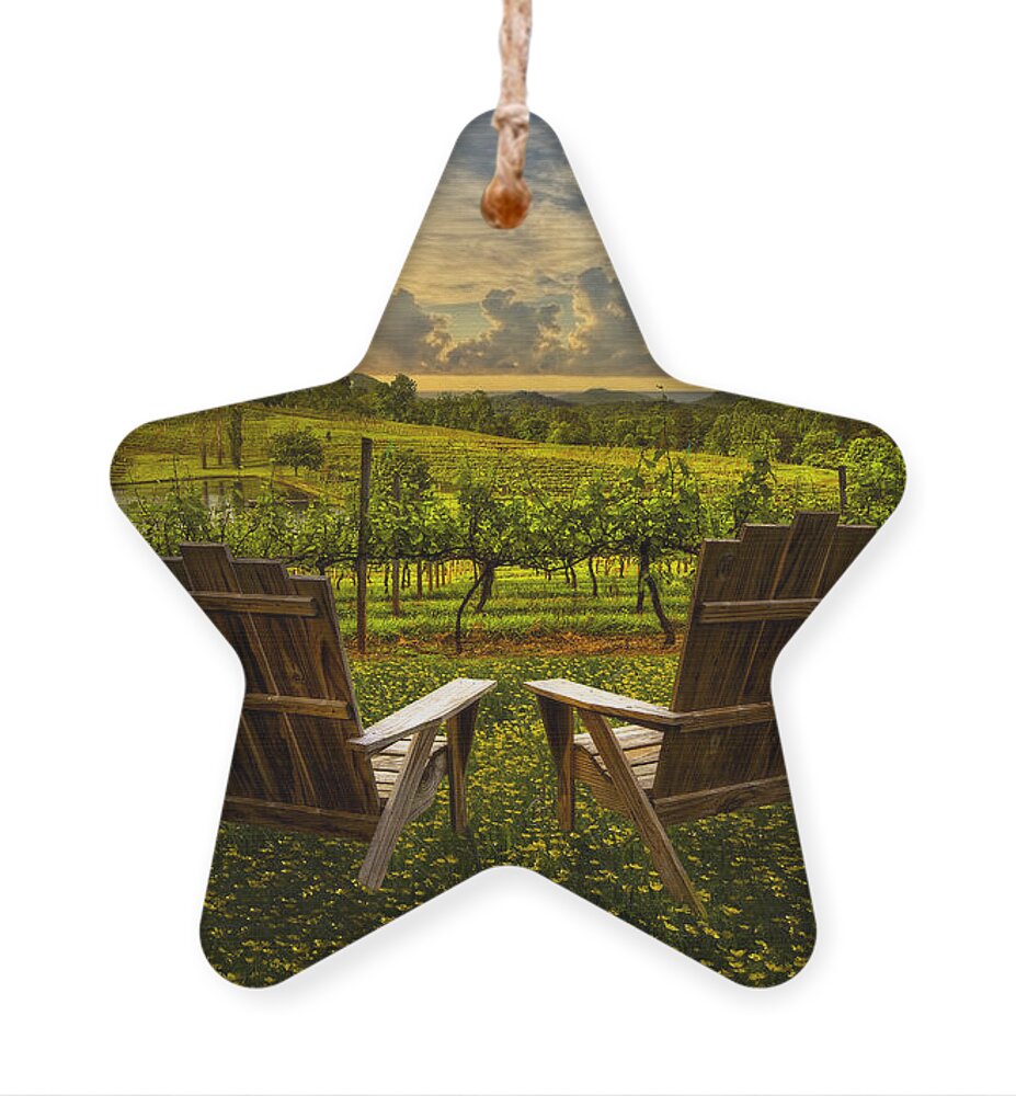 Appalachia Ornament featuring the photograph The Vineyard  by Debra and Dave Vanderlaan