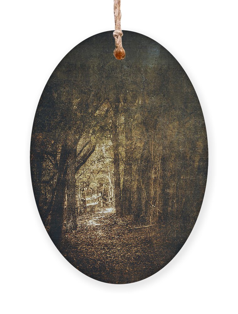 Leaf Ornament featuring the photograph The Way Out by Scott Norris