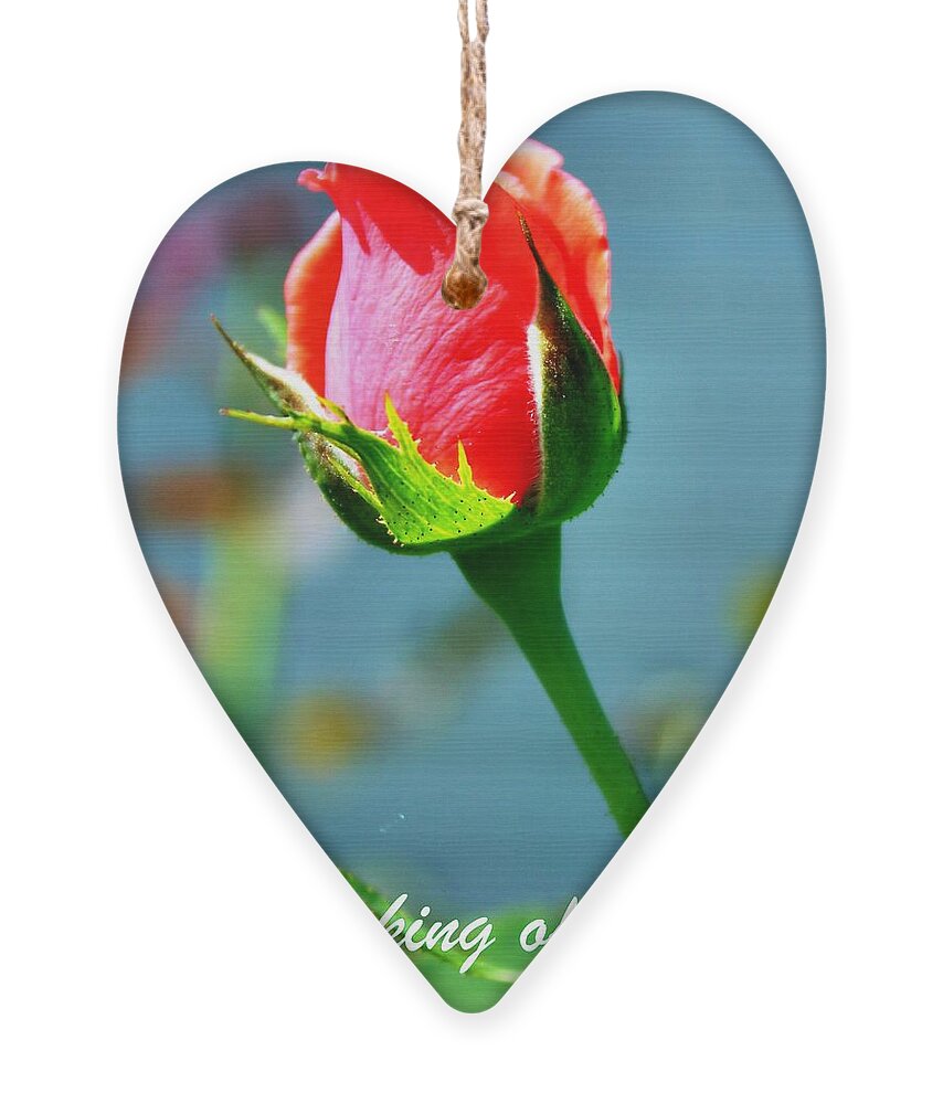 Greeting Card Ornament featuring the photograph Thinking Of You by Judy Palkimas