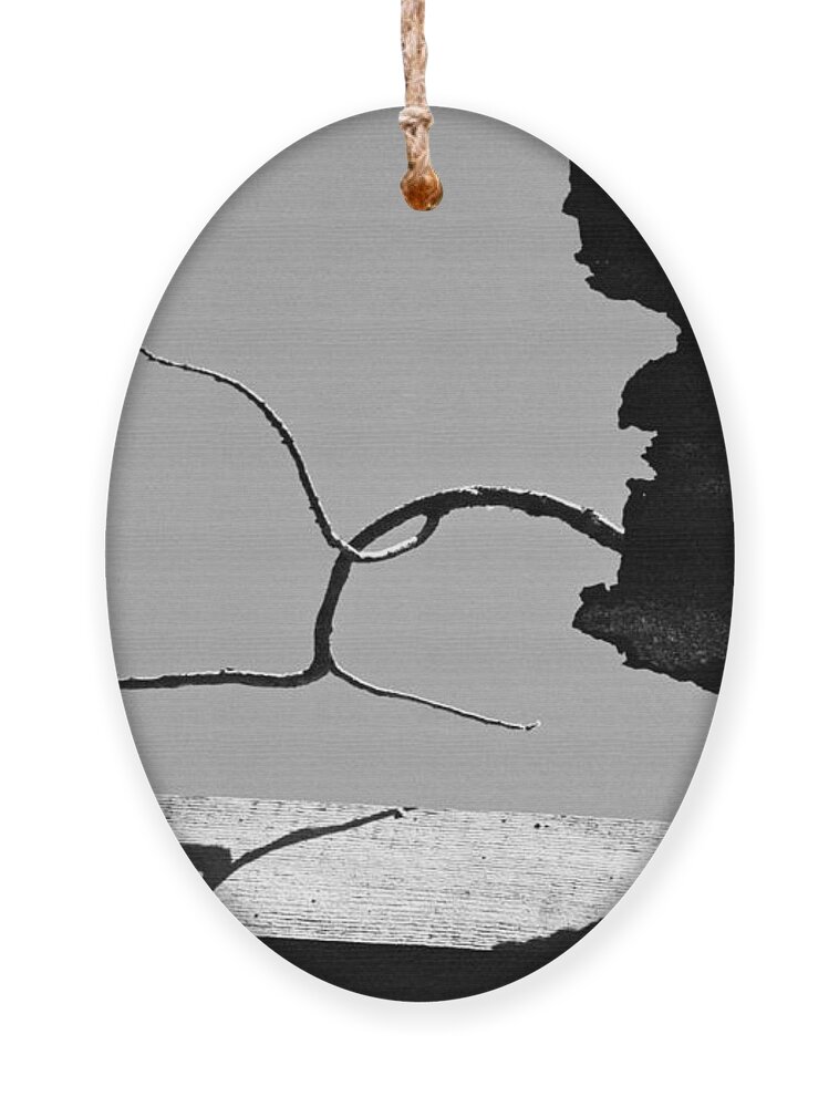 Black And White Ornament featuring the photograph Through A Broken Barn Roof by James B Toy