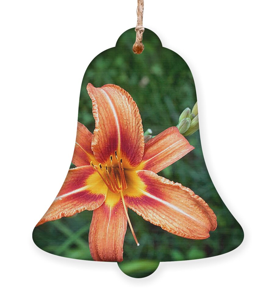 Tiger Lily Print Ornament featuring the photograph Tiger Lily Print by Gwen Gibson