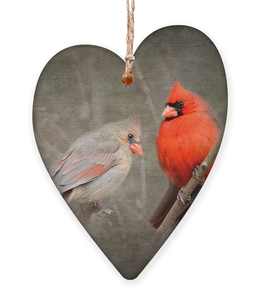 Bird Ornament featuring the photograph Together Again by Jai Johnson