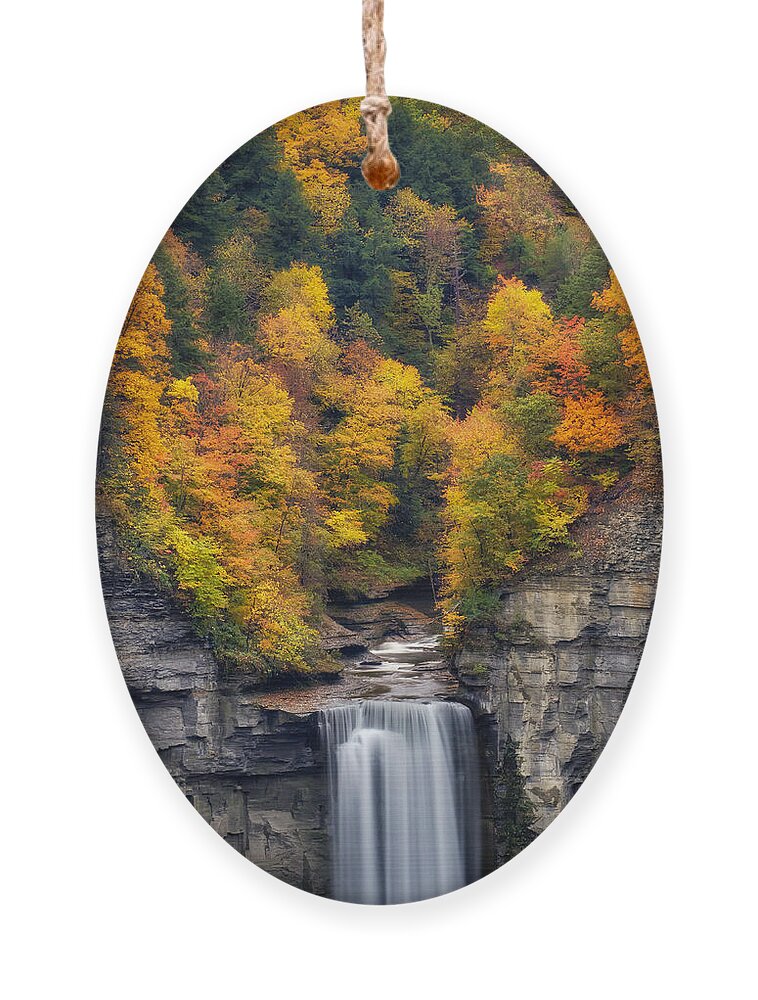Taughannock Falls Ornament featuring the photograph Top of the falls by Mark Papke