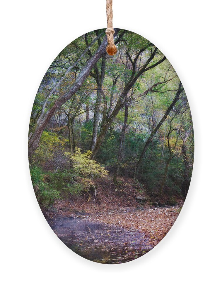 Arkansas Ornament featuring the photograph Touch of Fall by Lana Trussell