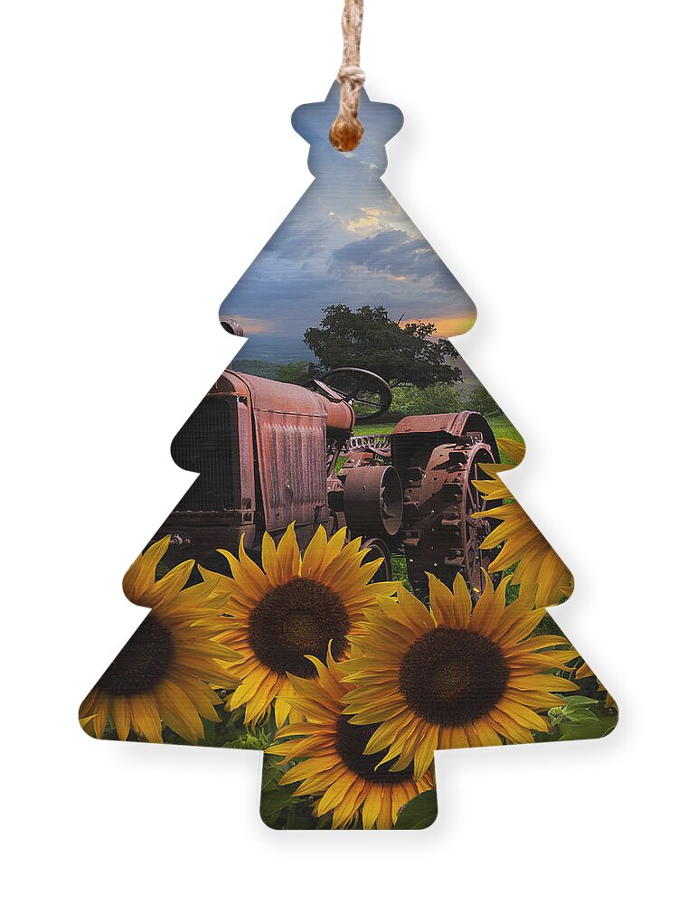 Appalachia Ornament featuring the photograph Tractor Heaven by Debra and Dave Vanderlaan