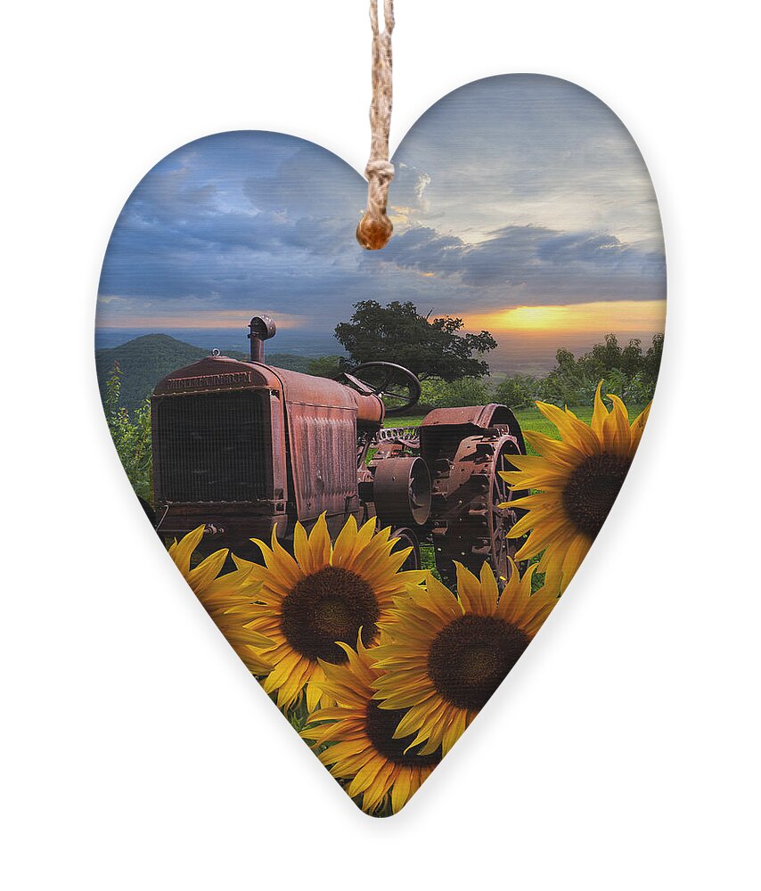 Appalachia Ornament featuring the photograph Tractor Heaven by Debra and Dave Vanderlaan