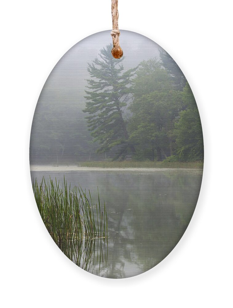 Tranquil Ornament featuring the photograph Tranquil Moments Landscape by Christina Rollo