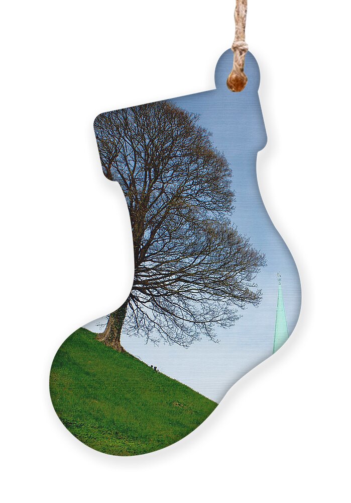Canon Ornament featuring the photograph Tree on a Hill by Jeremy Hayden