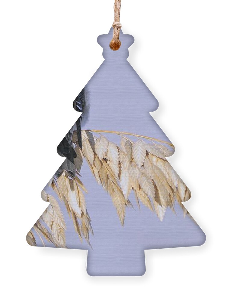 Tree Swallow Ornament featuring the photograph Tree Swallow on Sea Oats by Bradford Martin