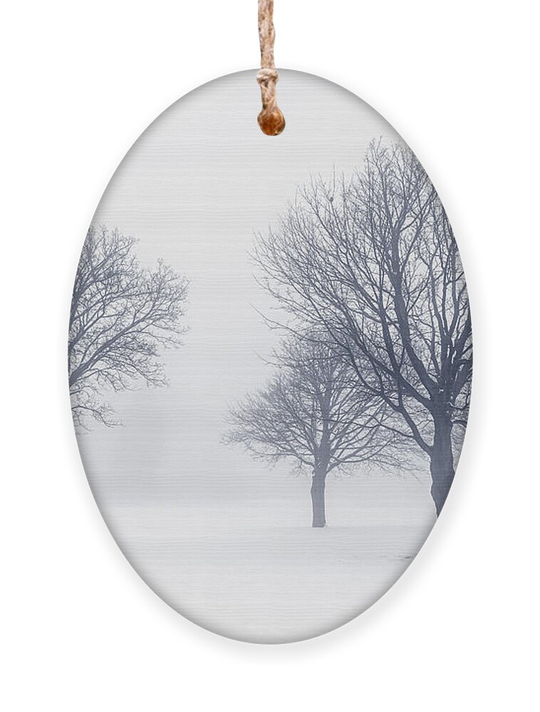 Trees Ornament featuring the photograph Trees in winter fog 2 by Elena Elisseeva