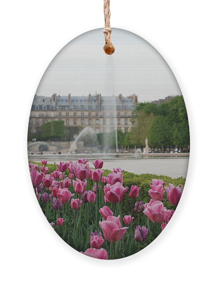 Tuileries Ornament featuring the photograph Tuileries Garden in Bloom by Jennifer Ancker