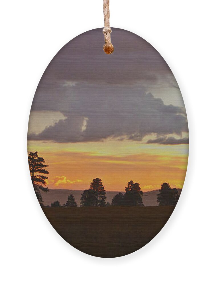 Sunset Ornament featuring the photograph Twilight in Flagstaff #2 by Tom Kelly