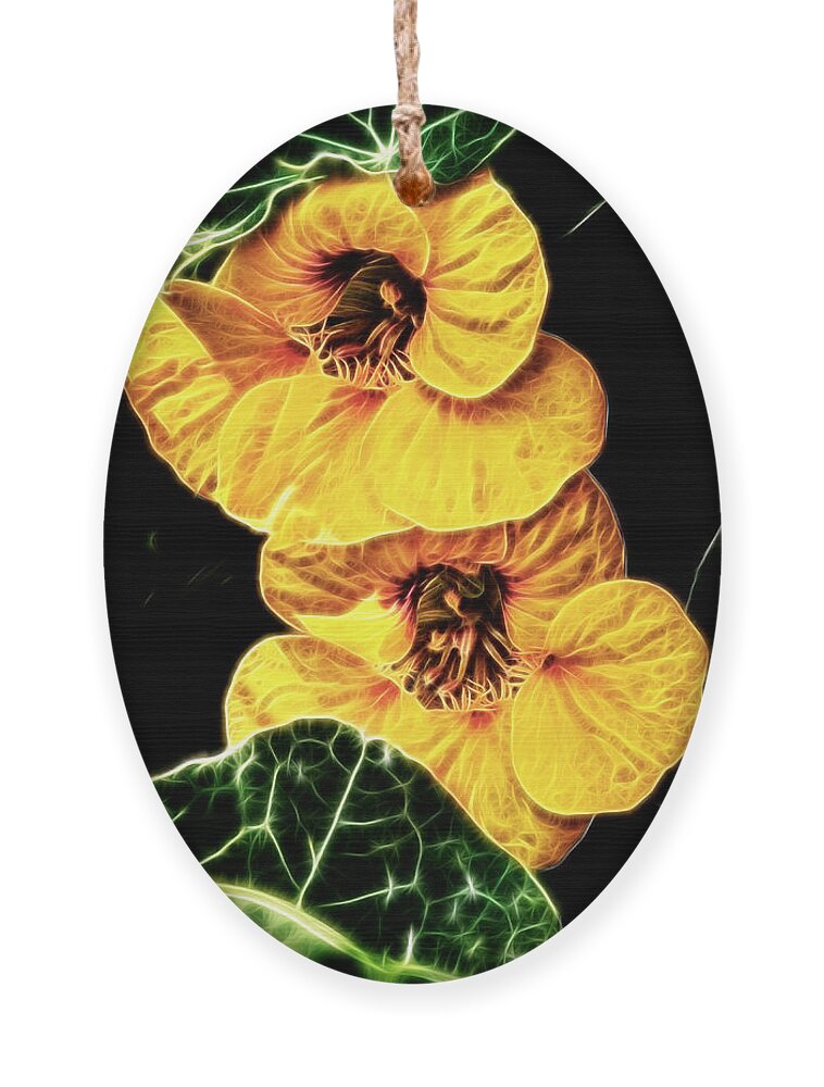 Nasturtium Ornament featuring the photograph Two Shy Sisters fractal by Weston Westmoreland