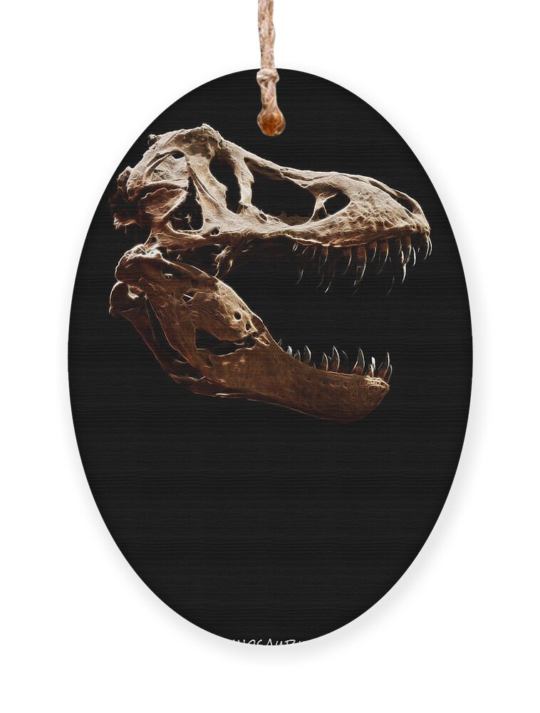 Tyrannosaurus Rex Skull Ornament featuring the photograph Tyrannosaurus rex skull 1 by Weston Westmoreland