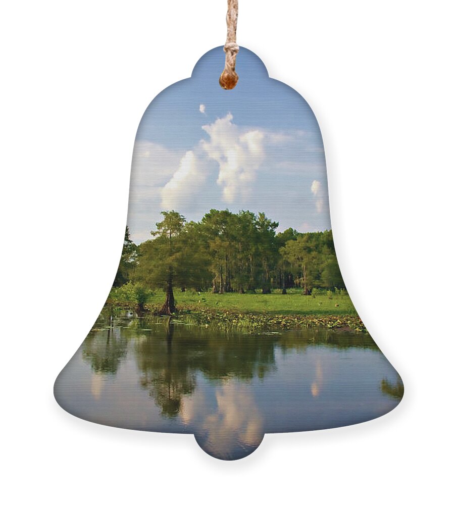 . Ornament featuring the photograph Uncertain Reflection by Lana Trussell