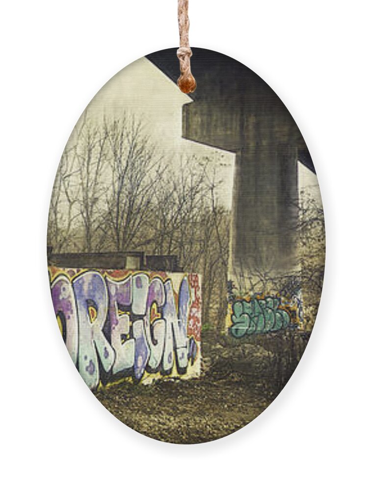 Graffiti Ornament featuring the photograph Under the Locust Street Bridge by Scott Norris